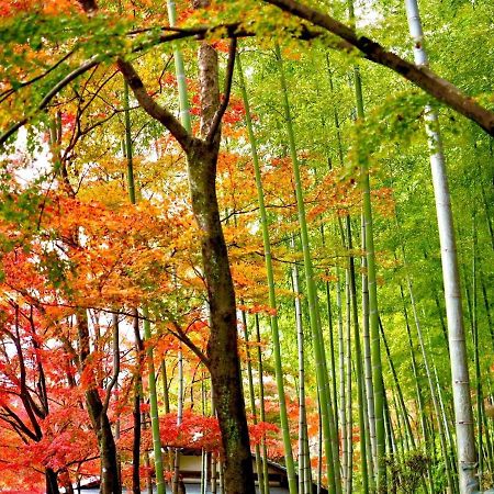Kyoto Yadomachi Nishijin Διαμέρισμα Εξωτερικό φωτογραφία