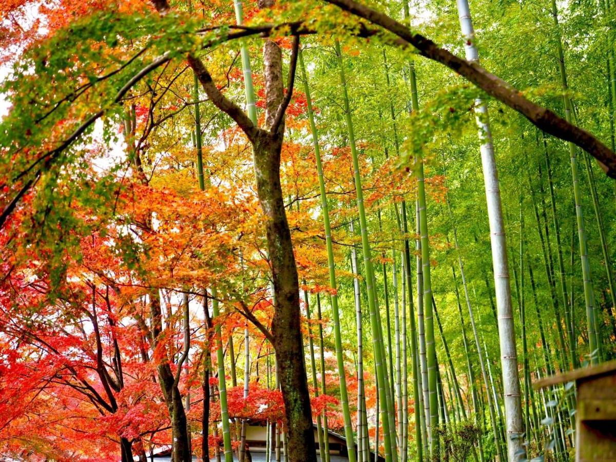 Kyoto Yadomachi Nishijin Διαμέρισμα Εξωτερικό φωτογραφία